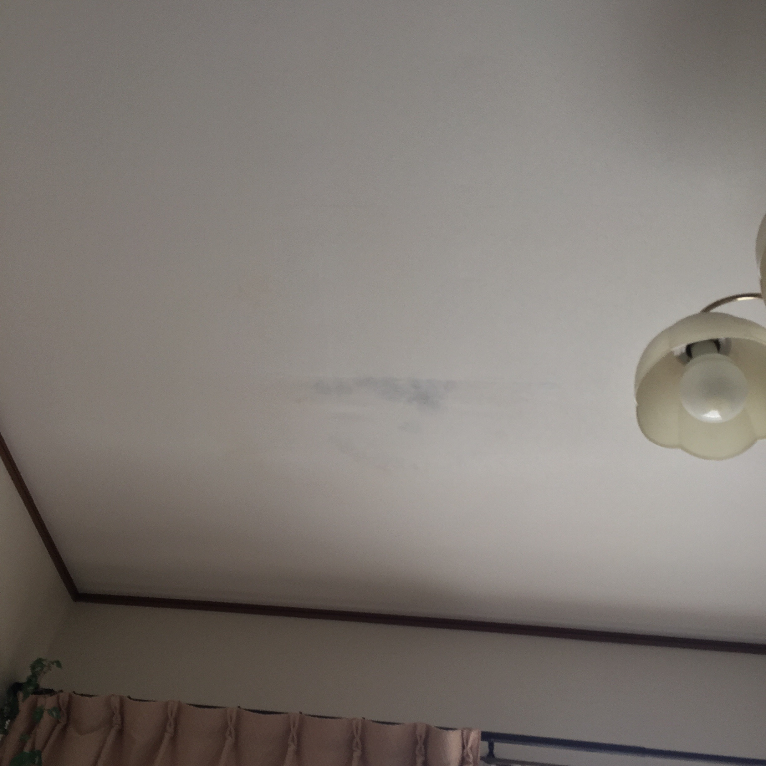 リビング天井の雨漏り修理例 ウレタン防水 安価に抑えるコツ 雨漏りレスキュー 屋根外壁の雨漏りのことならお任せください 千葉 首都圏は即日対応